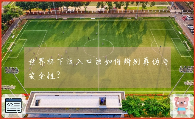 世界杯下注入口该如何辨别真伪与安全性？