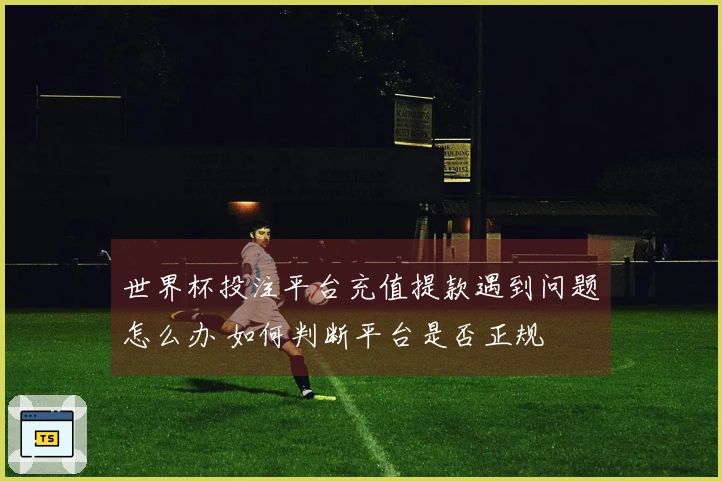 世界杯投注平台充值提款遇到问题怎么办 如何判断平台是否正规