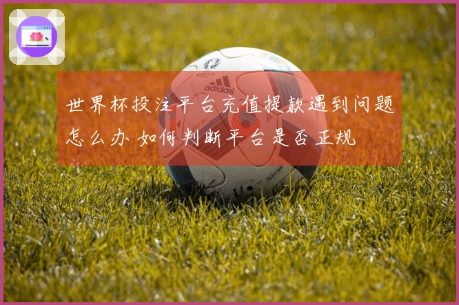 世界杯投注平台充值提款遇到问题怎么办 如何判断平台是否正规