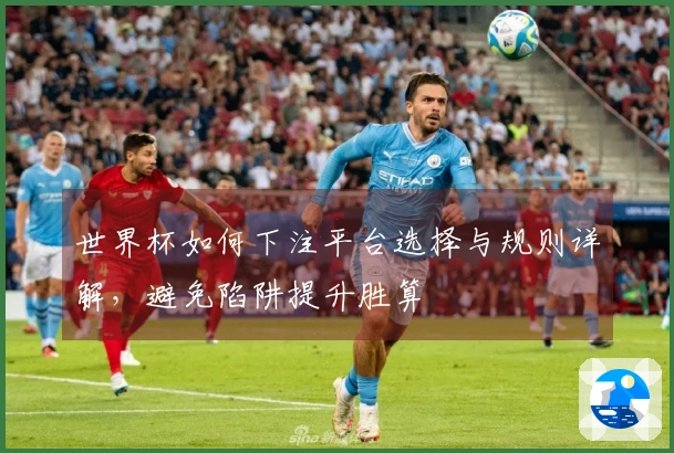 世界杯如何下注平台选择与规则详解，避免陷阱提升胜算