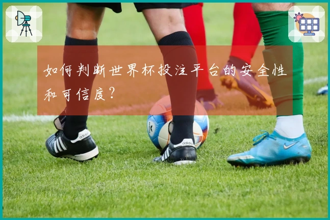 如何判断世界杯投注平台的安全性和可信度？