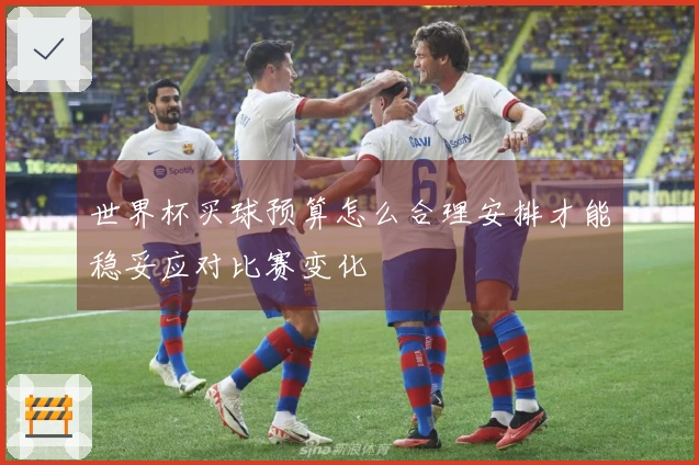 世界杯买球预算怎么合理安排才能稳妥应对比赛变化