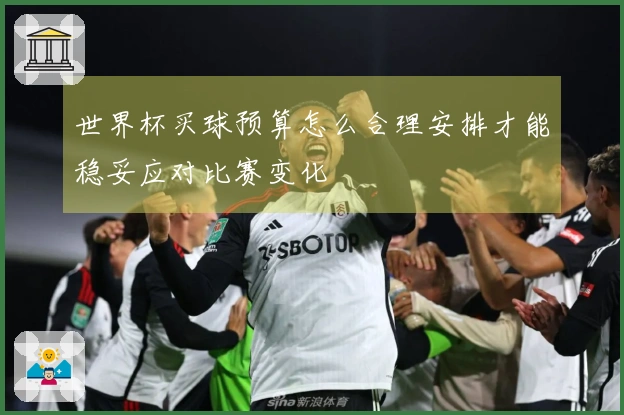 世界杯买球预算怎么合理安排才能稳妥应对比赛变化