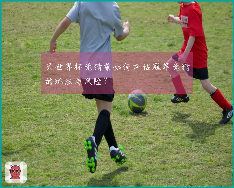 买世界杯竞猜前如何评估冠军竞猜的玩法与风险？