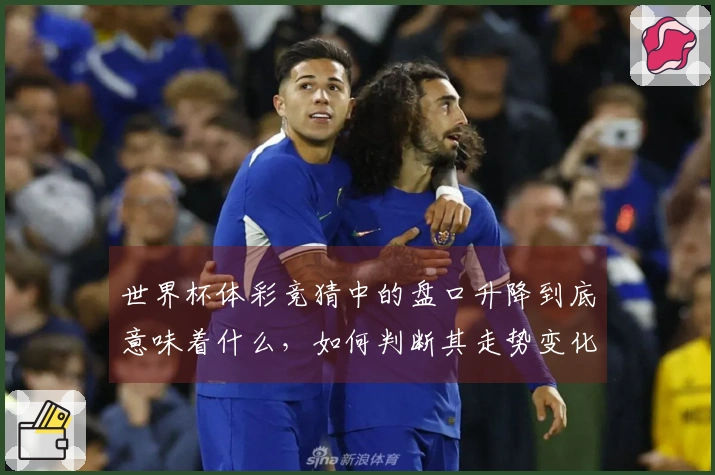 世界杯体彩竞猜中的盘口升降到底意味着什么，如何判断其走势变化？