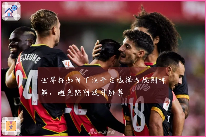 世界杯如何下注平台选择与规则详解，避免陷阱提升胜算