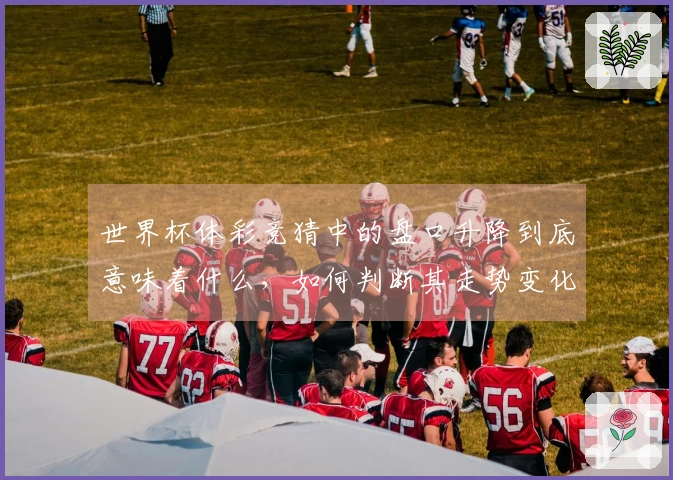 世界杯体彩竞猜中的盘口升降到底意味着什么，如何判断其走势变化？